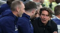 Tottenham star is the epitome of Thomas Frank's new-look side, writes MATT BARLOW - but new Spurs boss faces a tough balancing act going forward