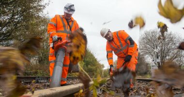 Trains will run on amended schedule to combat leaves on line