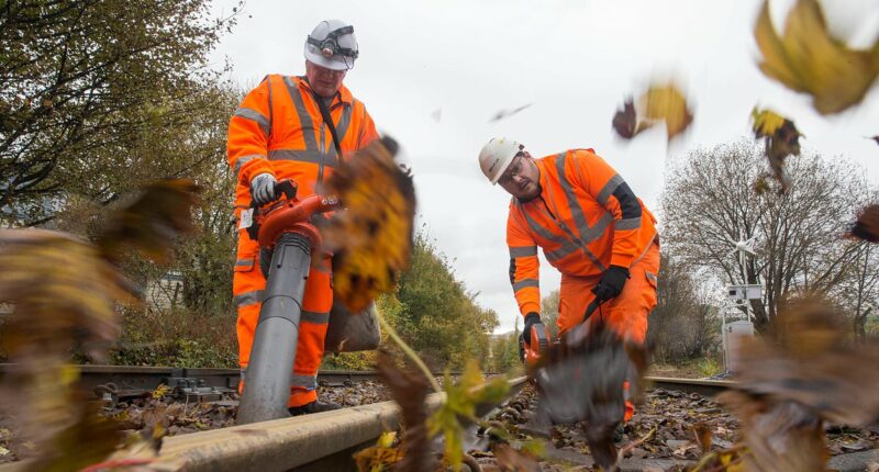 Trains will run on amended schedule to combat leaves on line