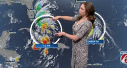 Tropical Storm Watch In Effect. Here’s What Central Florida Can Expect