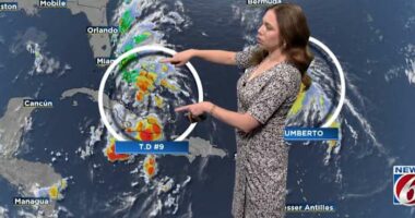 Tropical Storm Watch In Effect. Here’s What Central Florida Can Expect