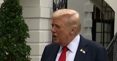 Trump: There could be 'a lot' of layoffs