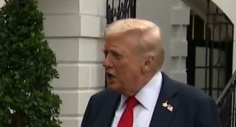 Trump: There could be 'a lot' of layoffs