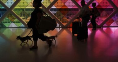 Trump admin ends Biden-era plan to make airlines pay passengers stranded by flight delays