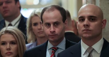 Trump aides tell Republicans to stop making fun of 'basement' dwellers