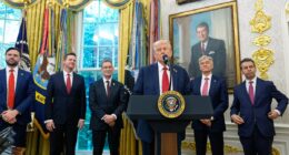 Trump announces major overhaul of drug prices with pharma giant Pfizer