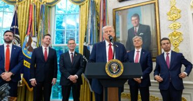 Trump announces major overhaul of drug prices with pharma giant Pfizer