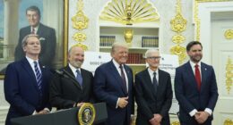 Trump begs Supreme Court justices to save tariffs, and soon