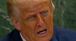 Trump calls climate change 'a con job'