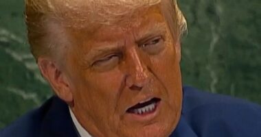 Trump calls climate change 'a con job'