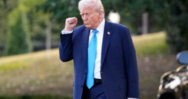 Trump designates antifa as domestic terrorists