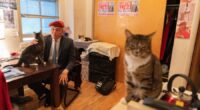 Trump dismisses cat-loving NYC Republican candidate for mayor as 'not exactly prime time'