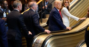 Trump mocks broken UN over busted teleprompter and escalator