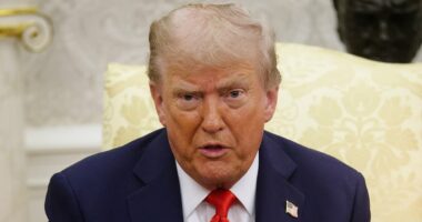 Trump ramps up immigration crackdown by arming visa officers