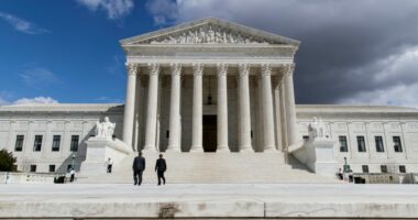 Trump says US would be on 'brink of economic catastrophe' unless justices rule his tariffs are legal