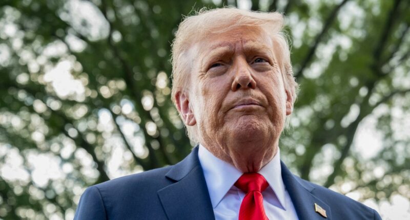 Trump says he's ready to put 'major sanctions' on Russia if NATO nations do the same