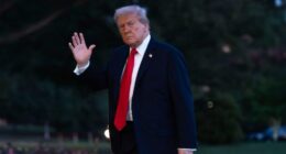 Trump suggests 'a little fight with the wife' shouldn't count in DC crime stats