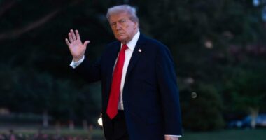 Trump suggests 'a little fight with the wife' shouldn't count in DC crime stats