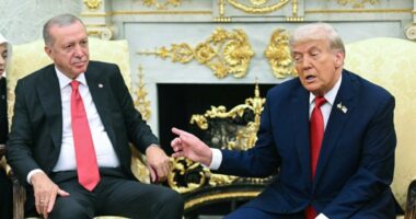Trump talks Putin, Gaza and the ICE facility shooting at meeting with Erdogan