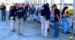 Trump to foreign companies after Hyundai raid: Hire American workers