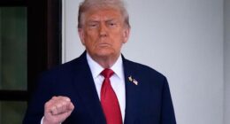 Trump to put import taxes on kitchen cabinets, furniture and heavy trucks starting next week