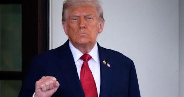 Trump to put import taxes on kitchen cabinets, furniture and heavy trucks starting next week