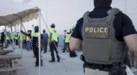Trump trade and immigration agendas collide in Hyundai raid