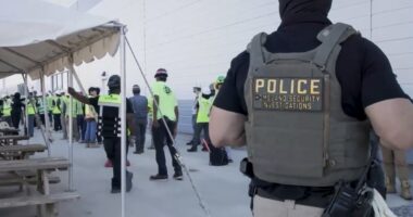 Trump trade and immigration agendas collide in Hyundai raid