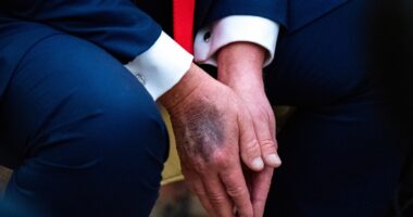 Trump, who questioned his opponents' health, rebuffs rumors about his own