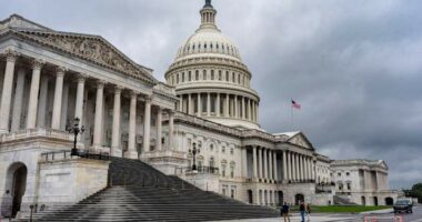 Trump's vast federal cuts create distrust on Capitol Hill as shutdown risk grows