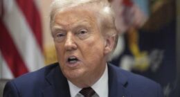 Trump’s use of National Guard during Los Angeles immigration protests is illegal, a judge rules
