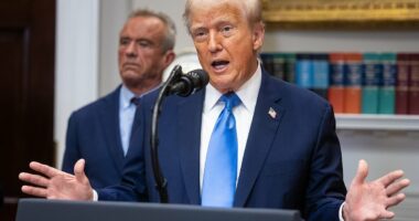 Truth about America's autism 'crisis': Experts reveal the real reasons rates are so much higher in US