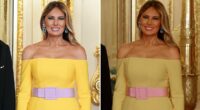Truth about Melania Trump dress shocker: Insiders forced to speak out