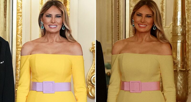 Truth about Melania Trump dress shocker: Insiders forced to speak out