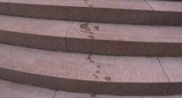Two men allegedly sprayed an unknown oil-based substance on the Anzac memorial