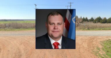 Ty Burns resigns after pleading to domestic violence