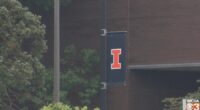 U of I students push bird-friendly design to reduce campus bird strikes