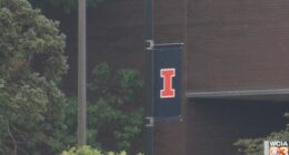 U of I students push bird-friendly design to reduce campus bird strikes