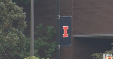U of I students push bird-friendly design to reduce campus bird strikes