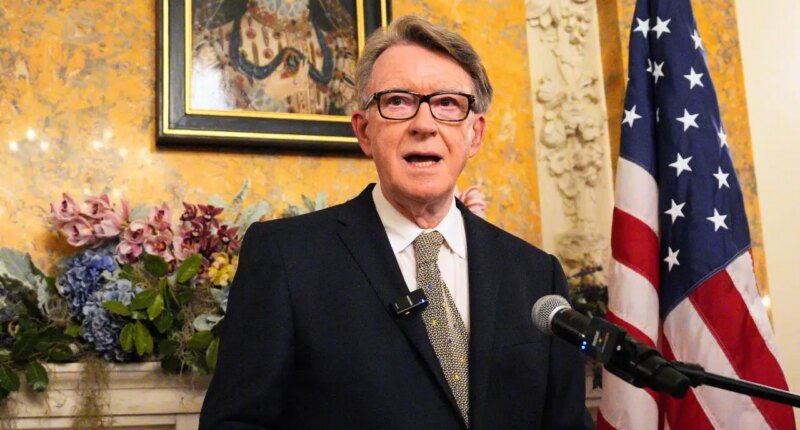 UK ambassador to US fired over Epstein ties