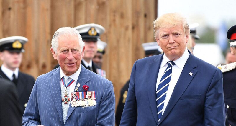UK police deploy 'comprehensive' drone operation across Windsor Castle for Trump visit