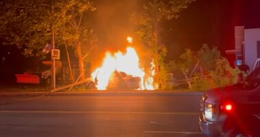 US Army football player and his dad save a man from flames after a car crash near West Point after Times Square visit in New York
