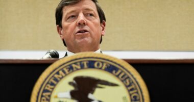 US Justice Department official questions retired FBI agent's role in $1.4B Sandy Hook lawsuit