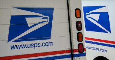 US Postal traffic Drops 81% after tariff exemption ends