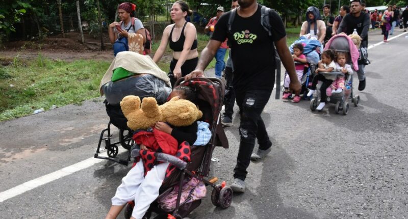 US border shutdown forces other countries to deal with migrants
