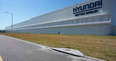 US immigration officers raid Georgia site where Hyundai makes electric vehicles