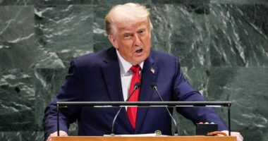 U.S. rejects international AI oversight at U.N. General Assembly