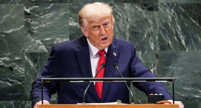 U.S. rejects international AI oversight at U.N. General Assembly