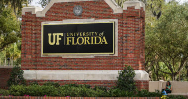 University of Florida pulls alert after gunshots falsely reported at library