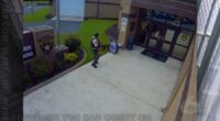 VIDEO: Georgia man arrested for allegedly bringing marijuana, gun into county jail